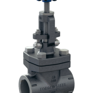 FS GLOBE VALVE