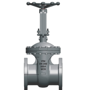 CS GATE VALVE F/E