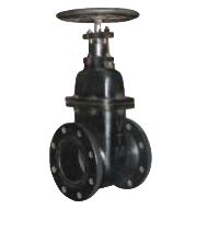 CI SLUICE VALVE ISI F/E