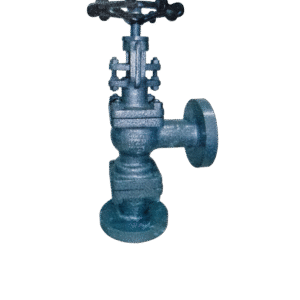 ACCESSIBLE FEED CHECK VALVE IBR