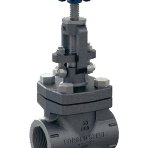 FS GATE / GLOBE VALVE IBR